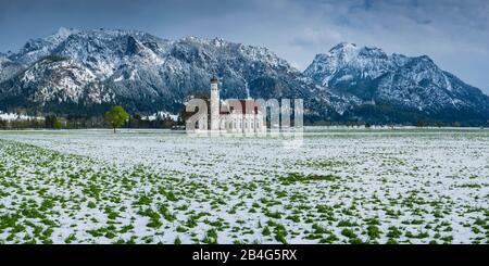 Chiesa barocca di San Colombano, dietro di essa il massiccio montuoso Tegelberg, 1881m, e la Säuling, 2047m, Schwangau, Ostallgäu, Allgäu, Swabia, Baviera, Germania, Europa Foto Stock