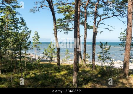 Estonia, Mar Baltico isola Hiiumaa, costa arcipelago Foto Stock