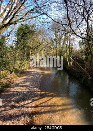 Il fiume Arrow che si snoda attraverso la campagna vicino Redditch, Worcestershire, Regno Unito. Foto Stock