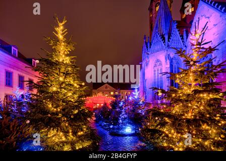 San Martini, chiesa, teatro invernale, ora blu, notte, Braunschweig, Bassa Sassonia, Germania, Europa Foto Stock