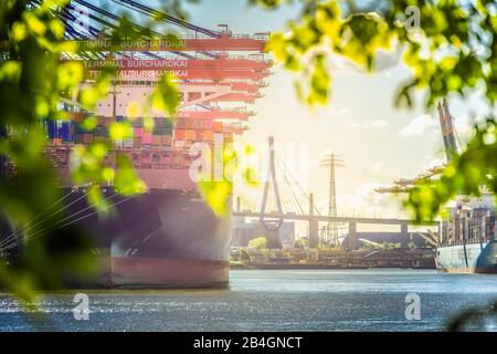 Germania, Amburgo, Elbe, porto, porto di Waltershofer, carico container, Köhlbrandbrücke, nave container Foto Stock