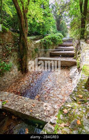 Il canale d'acqua del torrente nel parco Caldes a Monchique, Portogallo. Foto Stock