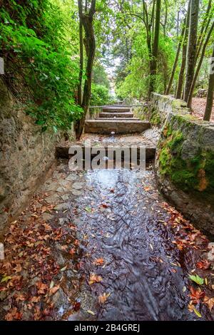 Il canale d'acqua del torrente nel parco Caldes a Monchique, Portogallo. Foto Stock
