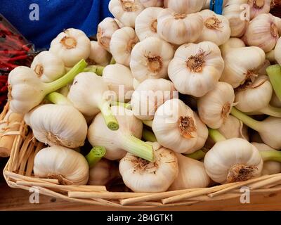 Molti bulbi di aglio nel cesto Foto Stock