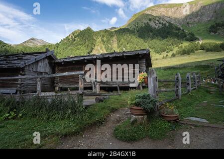 Fane Alm, Almdorf, Alto Adige, Italia, Europa Foto Stock