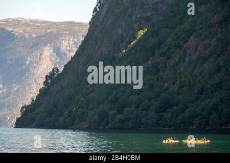 Turisti in kayak gialli, fiordo, Nærøyfjorden, pareti rocciose con foresta, Styvi, Sogn og Fjordane, Norvegia, Scandinavia, Europa Foto Stock