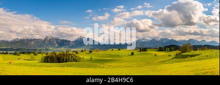 Deutschland, Allgäu, Landschaft, Berge, Forggensee Foto Stock