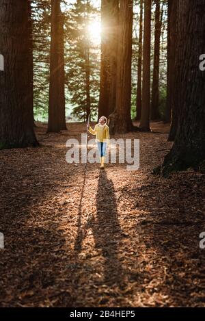 Tween girl a piedi attraverso la bella foresta in Nuova Zelanda Foto Stock