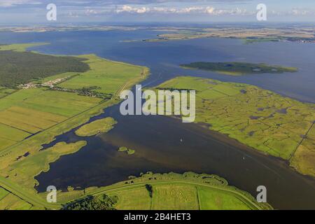 , parte meridionale dell'isola Barther Bodden nel Barth Bodden, Barther Bodden, vista aerea, Germania, Meclemburgo-Pomerania occidentale, Parco Nazionale della Laguna di Pomerania Occidentale, Zingst Foto Stock