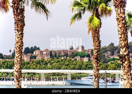 Fortezza di Alcazaba a Malaga, Spagna Foto Stock