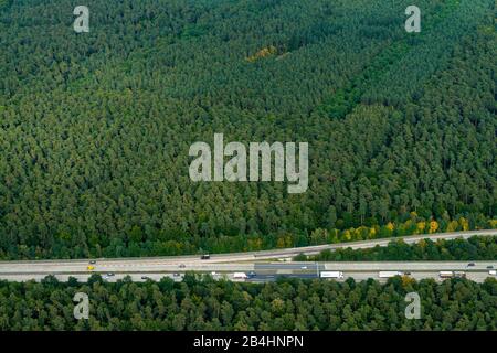 Veduta aerea della A6 allo svincolo di Hockenheim, autostrada nei boschi Foto Stock