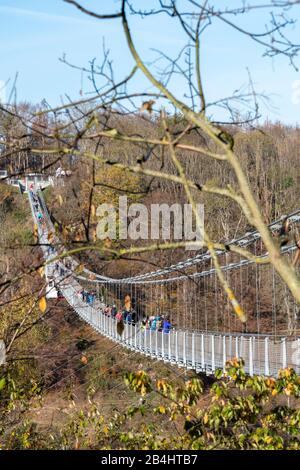 Germania, Sassonia-Anhalt, Upper Harz, ponte sospeso TitanRT in autunno, Rappbodetalsperre, resina. Foto Stock