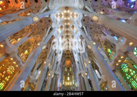 Soffitto della chiesa all'interno della cattedrale della Sagrada Familia di Antoni Gaudi a Barcellona, Catalogna, Spagna Foto Stock