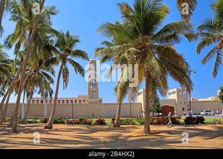 Palme con le mura del palazzo e la torre dell'orologio dal palazzo del sultano, Salalah, Mar Arabico, Oman Foto Stock
