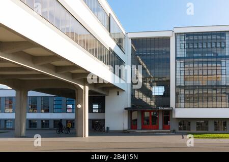 Germania, Sassonia-Anhalt, Dessau, ingresso principale al Bauhaus, 100 anni Bauhaus Dessau. Foto Stock