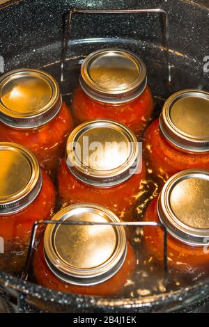 Pomodori confezionati in vasetti di vetro in acqua bollente per sigillare i coperchi per la conservazione. Pomodori fatti in casa e stufa acqua top bagno inscatolamento. Foto Stock