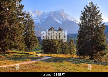 I filosofi camminano attraverso la foresta di conifere con il gruppo Zugspitze 2962m nelle montagne Wetterstein vicino a Farchant, Loisachtal, Werdenfelser Land, Zugspitzland, alta Baviera, Baviera, Germania Foto Stock