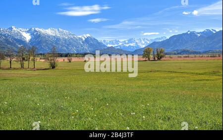 Paesaggio nel Murnauer Moos contro Hohe Kisten 1922m nel gruppo Estergebirge Zugspitze 2962 nelle montagne Wetterstein e Ammergau Alpi vicino Murnau, Loisachtal, Blue Land, alta Baviera, Baviera, Germania Foto Stock