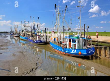 Sielhafen con tagliabaschi per gamberi con bassa marea, località del Mare del Nord Wremen, Land Wursten, Mare del Nord, Costa del Mare del Nord, Bassa Sassonia, Germania Foto Stock