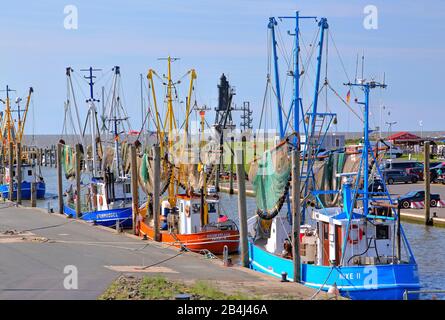 Kutterhafen am Dorumer Tief a Dorum-Neufeld con faro Obererersversand, località del Mare del Nord Dorum, Land Wursten, estuario del Weser, Mare del Nord, costa del Mare del Nord, Parco Nazionale Niedersächsisches Wattenmeer, Bassa Sassonia, Germania Foto Stock