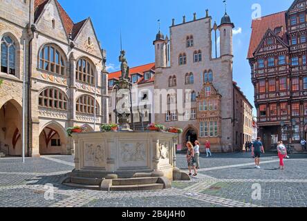 Piazza del mercato con municipio, fontana Roland, casa del tempio e Wedekindhaus, Hildesheim, Bassa Sassonia, Germania Foto Stock