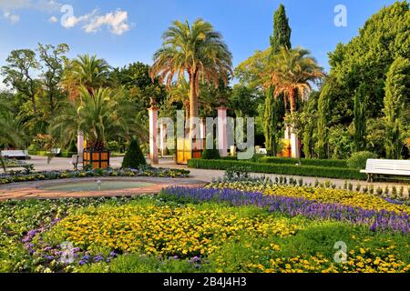 Palm Garden nel parco termale al sole serale, Bad Pyrmont, Staatsbad Emmertal, Weserbergland, Bassa Sassonia, Germania Foto Stock