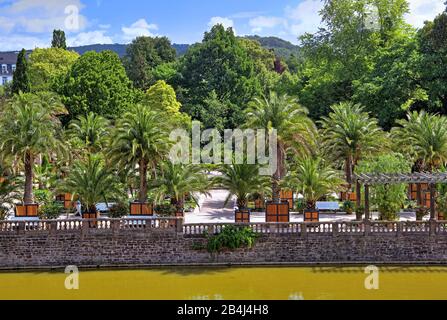 Castello fossato con giardino di palme nel parco termale Bad Pyrmont, Staatsbad Emmertal, Weserbergland, Bassa Sassonia, Germania Foto Stock