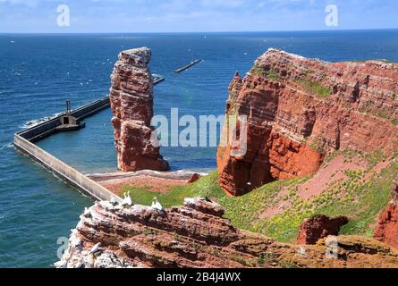 Scogliera Nord-Occidentale Con Rocce Da Surf Lange Anna, Helgoland, Helgoland Bay, Bight Tedesco, North Sea Island, North Sea, Schleswig-Holstein, Germania Foto Stock