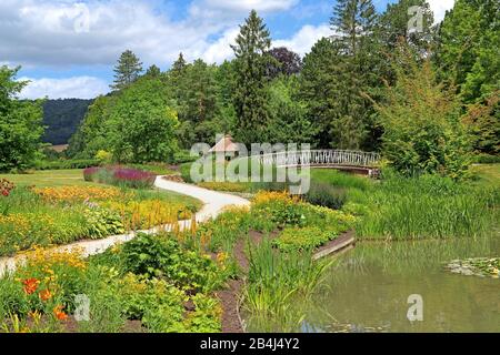 Malerblick con stagno nel parco termale Bad Pyrmont, Staatsbad Emmertal, Weserbergland, Bassa Sassonia, Germania Foto Stock