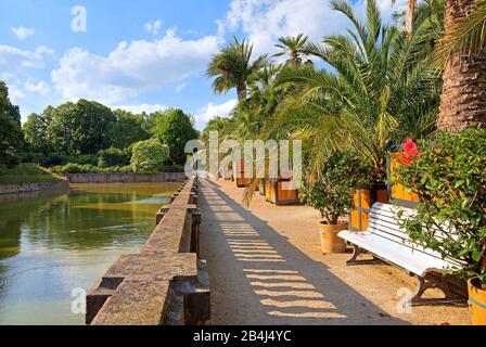 Palmengarten al fossato del castello nel parco termale Bad Pyrmont, Staatsbad Emmertal, Weserbergland, Bassa Sassonia, Germania Foto Stock