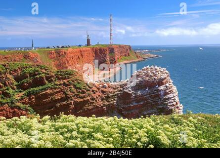 Scogliera nord-occidentale con faro e torre di trasmissione sull'Oberland, Helgoland, Helgoland Bay, Altezza tedesca, isola del Mare del Nord, Mare del Nord, Schleswig-Holstein, Germania Foto Stock