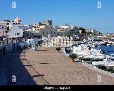 Ischia, Forio, città sulla costa occidentale, porto, centro storico, torre di guardia medievale 'il Torriome', Italia Foto Stock