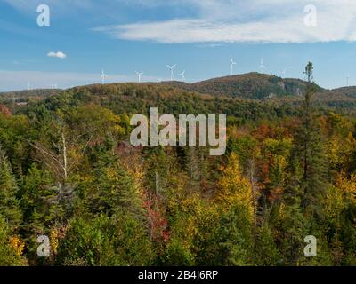 Regione Di Algoma, Autunno, Kanada, Foresta, Paesaggio, Provincia Di Ontario, Turbine Eoliche Foto Stock