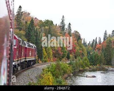 Agawa Canyon "Gruppo dei sette" treno turistico, regione di Algoma, autunno, Kanada, locomotive diesel, foresta Foto Stock