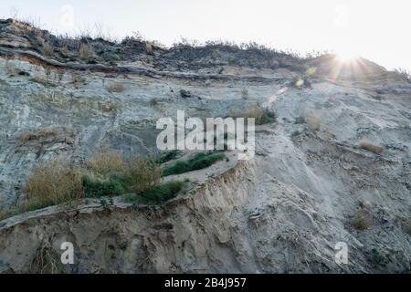 Fischland, Darß, alta costa, ripida costa tra Ahrenshoop e Wustrow, bordo di demolizione Foto Stock