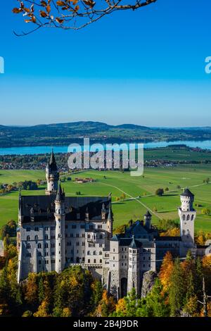 Castello Di Neuschwanstein Vicino A Hohenschwangau, Strada Romantica, Ostallgäu, Baviera, Germania, Europa Foto Stock