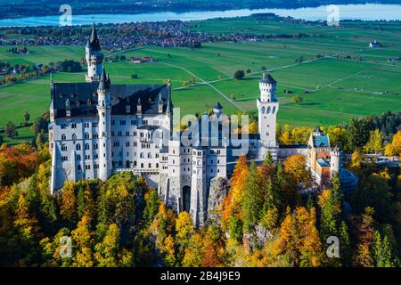 Castello Di Neuschwanstein Vicino A Hohenschwangau, Strada Romantica, Ostallgäu, Baviera, Germania, Europa Foto Stock