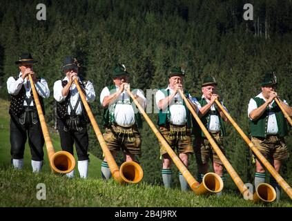 Austria, Vorarlberg, piccolo Walsertal, Baad, Alphorn Festival, ventilatore Alphorn, prato. Foto Stock