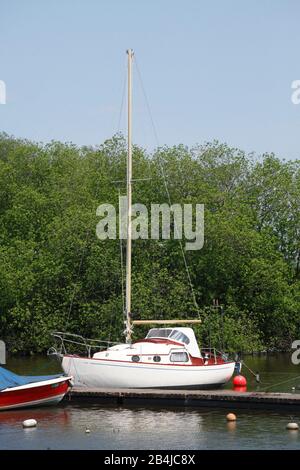 Marina Eyhausen, Bad Zwischenahn, Bassa Sassonia, Germania, Europa Foto Stock