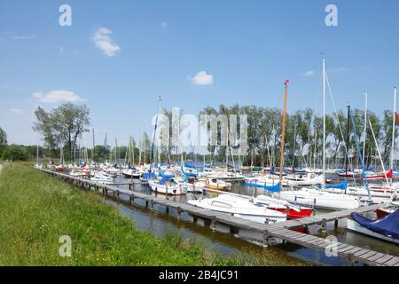 Marina Bünting, Bad Zwischenahn, Bassa Sassonia, Germania, Europa Foto Stock