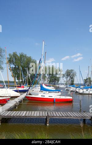 Marina Bünting, Bad Zwischenahn, Bassa Sassonia, Germania, Europa Foto Stock