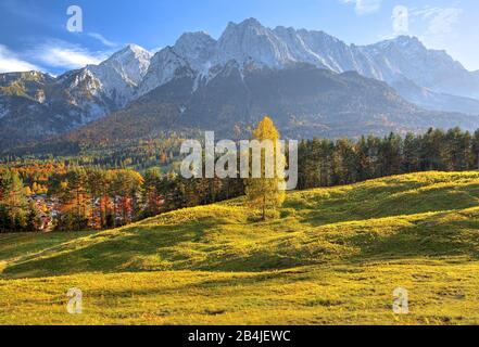 Grainauer Tal Con Zugspitze Group (2962m), Grainau, Wetterstein Mountains, Werdenfelser Land, Alta Baviera, Baviera, Germania Foto Stock