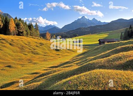 Paesaggio autunnale del Buckelwiesen a Krün, Land Werdenfelser, alta Baviera, Baviera, Germania Foto Stock
