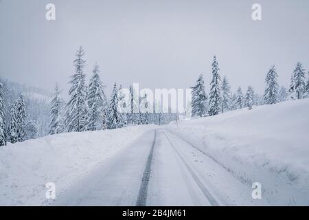 Strada di montagna innevata attraverso la foresta, passo tre Croci, Dolomiti, Belluno, Italia Foto Stock