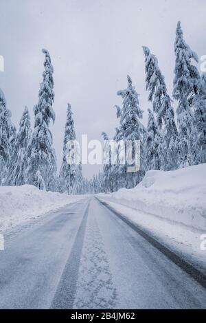 Strada di montagna innevata attraverso la foresta, passo tre Croci, Dolomiti, Belluno, Italia Foto Stock