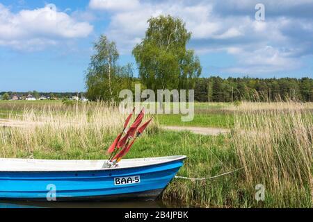 Rügen, Nähe Ostseebad Baabe, Fischerboot Mit Bojen Foto Stock