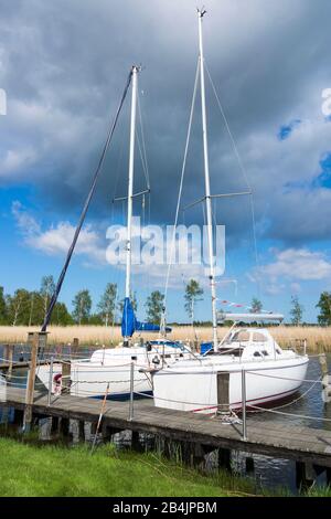 Rügen, Nähe Ostseebad Baabe, Hafen, Zwei Segelboote Am Steg Foto Stock