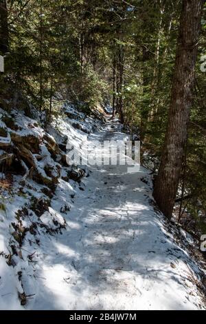 Un sentiero che parte dal percorso della Grotta dell'Alum nelle Great Smoky Mountains Foto Stock