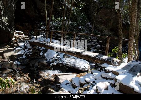 Un ponte fatto di un unico ceppo tagliato a metà dal percorso della grotta di Alum nelle Great Smoky Mountains Foto Stock