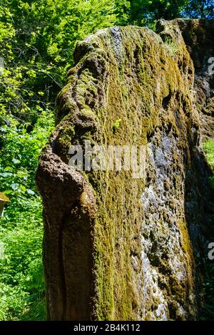 Roccia in crescita, Steinerne Rinne in Usterling, monumento naturale, vicino Landau an der Isar, Bassa Baviera, Baviera, Germania Foto Stock